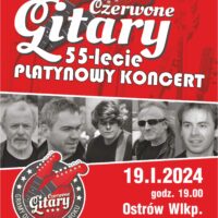 Czerwone Gitary 55-lecie | Platynowy koncert