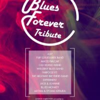 Polski Dzień Bluesa | Tribute To Blues Forever