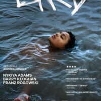 Klub Filmowy „Komeda na Wolności” | Bird