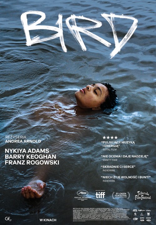 Klub Filmowy „Komeda na Wolności” | Bird