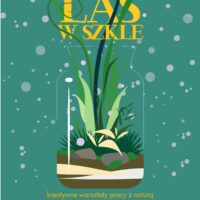 LAS W SZKLE | warsztaty