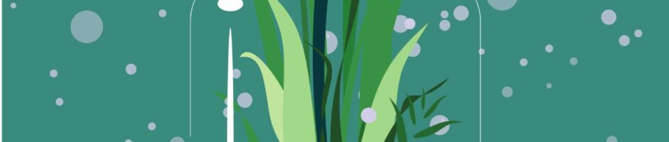 LAS W SZKLE | warsztaty