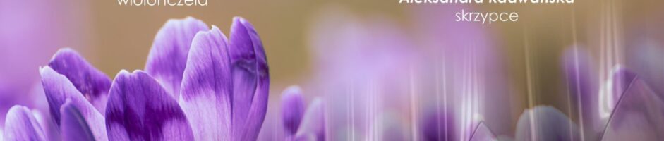 V Ostrowski Festiwal Muzyki Kameralnej i Organowej